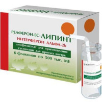 РЕАФЕРОН-ЕС ЛИПИНТ СУХОЙ 500000 МЕ №6 ЛИОФ. Д/СУСП. Д/ПРИЕМА ВНУТРЬ ФЛ. /ВЕКТОР-МЕДИКА/